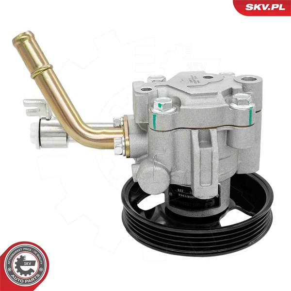 Servopump Esen skv 10SKV344 ESEN SKV
