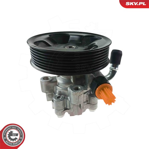 Servopump Esen skv 10SKV346 ESEN SKV Servopump Esen skv 10SKV346 ESEN SKV