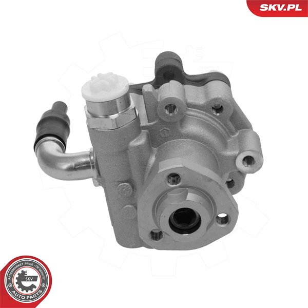 Servopump Esen skv 10SKV347 ESEN SKV