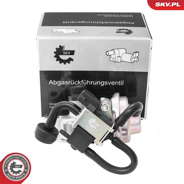 Egr-ventil Esen skv 14SKV268 ESEN SKV