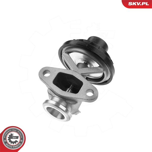 Egr-ventil Esen skv 14SKV291 ESEN SKV