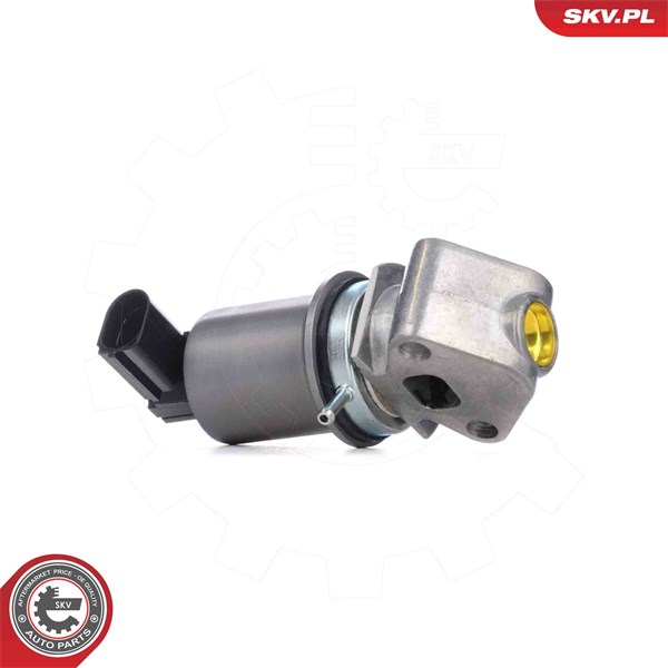 Egr-ventil 12V Esen skv 14SKV293 ESEN SKV Egr-ventil 12V Esen skv 14SKV293 ESEN SKV