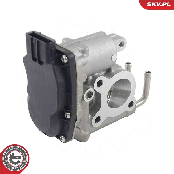 Egr-ventil Esen skv 14SKV294 ESEN SKV