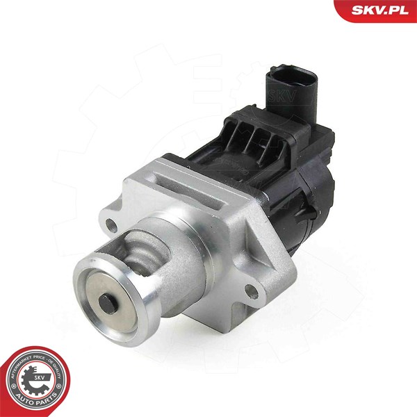 Egr-ventil 12V Esen skv 14SKV296 ESEN SKV