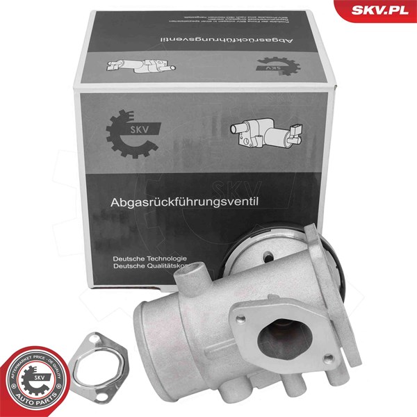 Egr-ventil 12V Esen skv 14SKV298 ESEN SKV