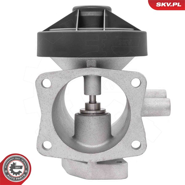 Egr-ventil 12V Esen skv 14SKV298 ESEN SKV Egr-ventil 12V Esen skv 14SKV298 ESEN SKV