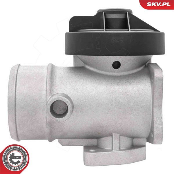 Egr-ventil 12V Esen skv 14SKV298 ESEN SKV Egr-ventil 12V Esen skv 14SKV298 ESEN SKV