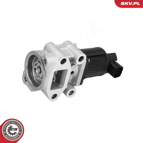 Egr-ventil 12V Esen skv 14SKV300 ESEN SKV