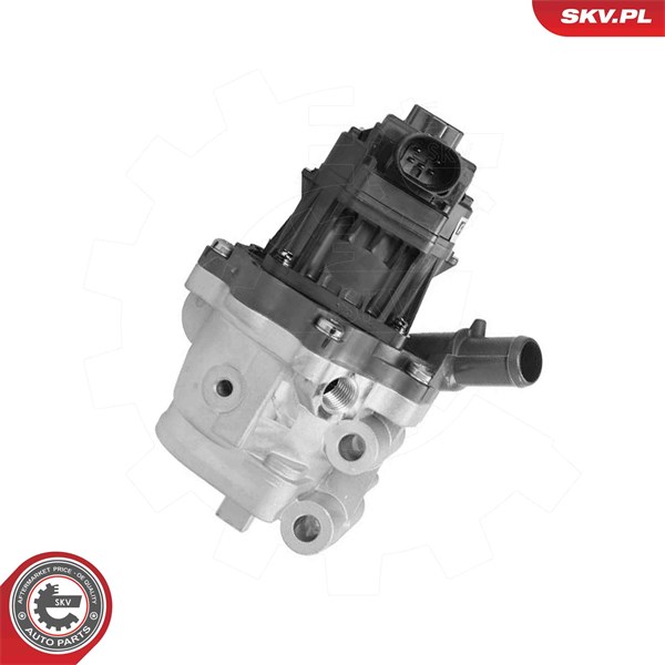 Egr-ventil 12V Esen skv 14SKV301 ESEN SKV