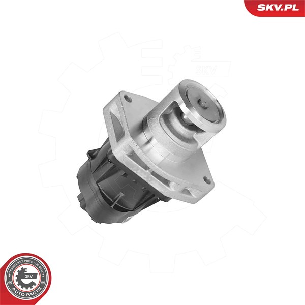 Egr-ventil 12V Esen skv 14SKV302 ESEN SKV Egr-ventil 12V Esen skv 14SKV302 ESEN SKV