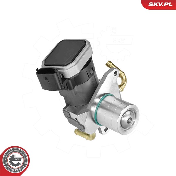 Egr-ventil 12V Esen skv 14SKV303 ESEN SKV