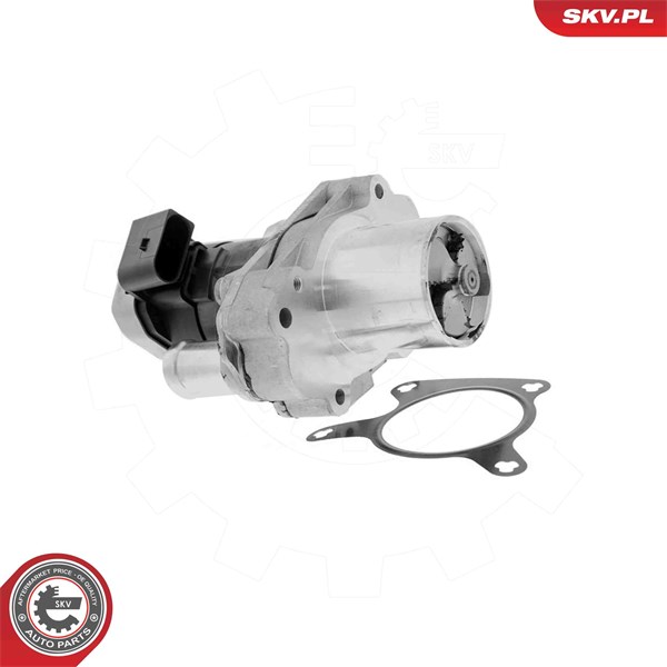 Egr-ventil 12V Esen skv 14SKV304 ESEN SKV