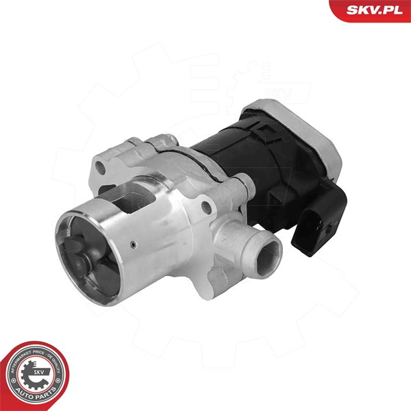 Egr-ventil 12V Esen skv 14SKV305 ESEN SKV