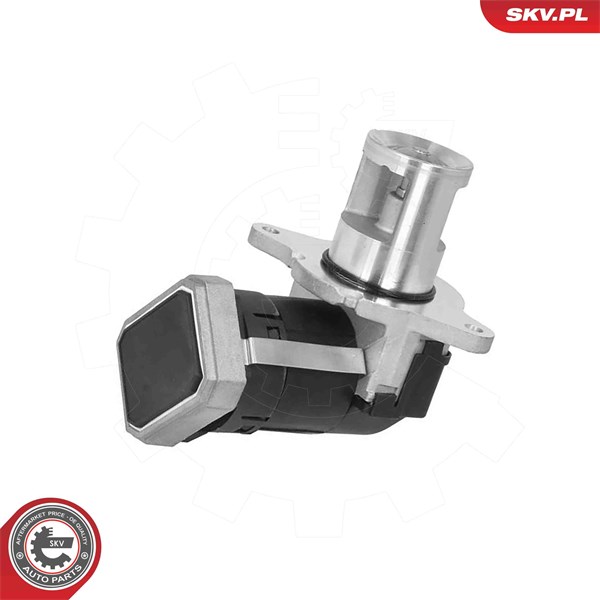 Egr-ventil 12V Esen skv 14SKV306 ESEN SKV