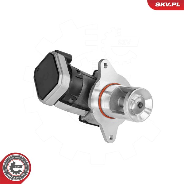 Egr-ventil 12V Esen skv 14SKV307 ESEN SKV