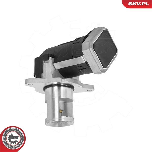 Egr-ventil 12V Esen skv 14SKV308 ESEN SKV