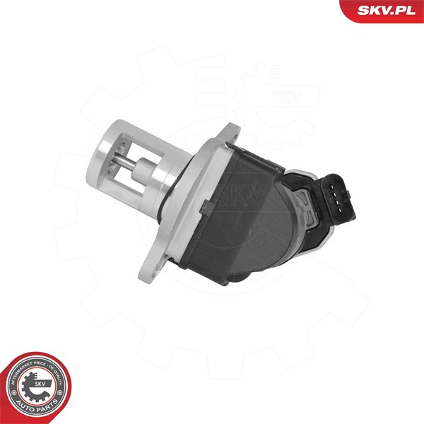 Egr-ventil 12V Esen skv 14SKV309 ESEN SKV