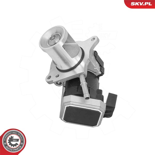 Egr-ventil 12V Esen skv 14SKV310 ESEN SKV