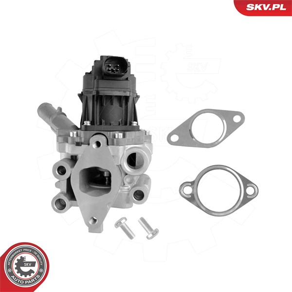Egr-ventil 12V Esen skv 14SKV312 ESEN SKV