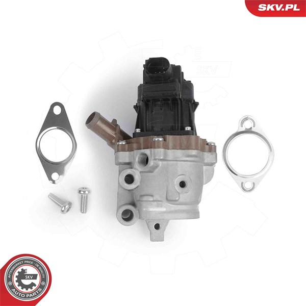 Egr-ventil 12V Esen skv 14SKV313 ESEN SKV Egr-ventil 12V Esen skv 14SKV313 ESEN SKV