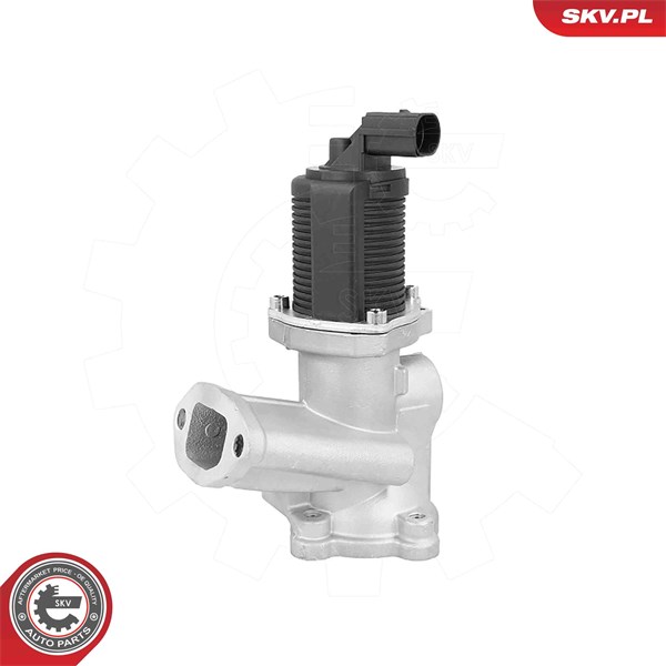 Egr-ventil 12V Esen skv 14SKV314 ESEN SKV