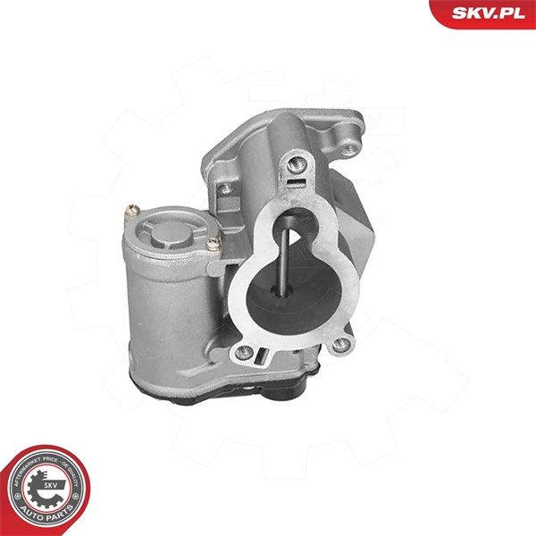 Egr-ventil 12V Esen skv 14SKV317 ESEN SKV