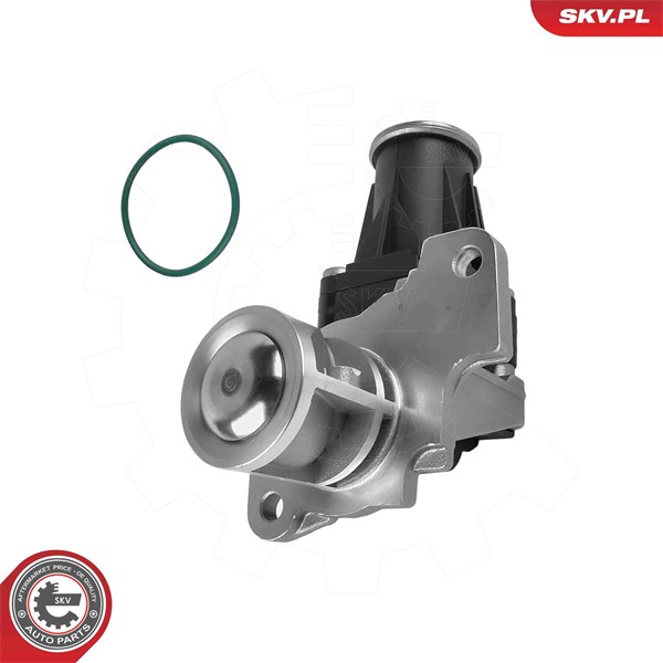 Egr-ventil 12V Esen skv 14SKV318 ESEN SKV