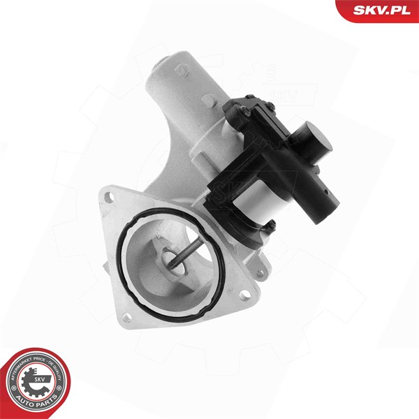 Egr-ventil 12V Esen skv 14SKV320 ESEN SKV