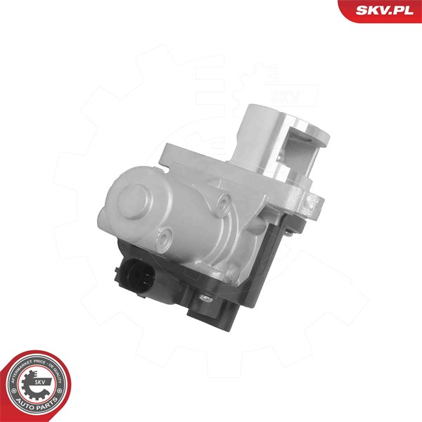 Egr-ventil 12V Esen skv 14SKV322 ESEN SKV