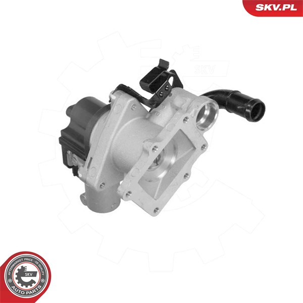 Egr-ventil 12V Esen skv 14SKV323 ESEN SKV