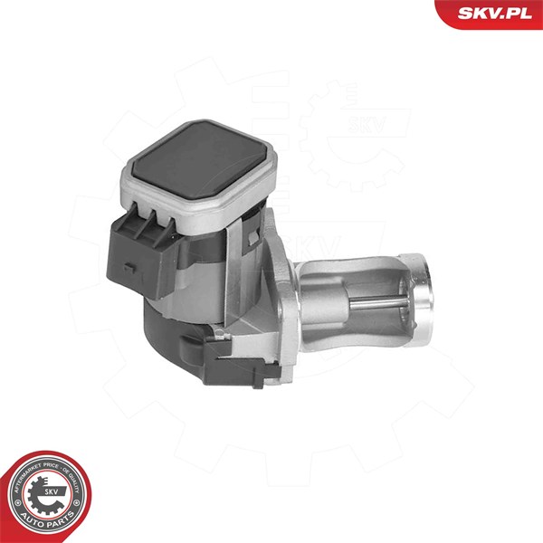 Egr-ventil 12V Esen skv 14SKV324 ESEN SKV