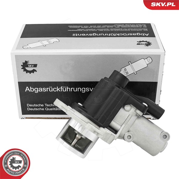 Egr-ventil 12V Esen skv 14SKV325 ESEN SKV