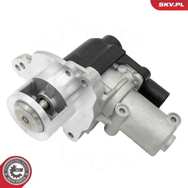 Egr-ventil 12V Esen skv 14SKV325 ESEN SKV