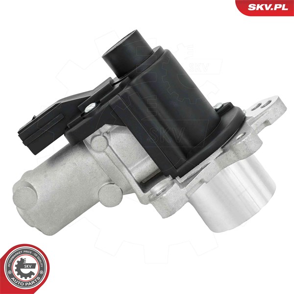 Egr-ventil 12V Esen skv 14SKV325 ESEN SKV
