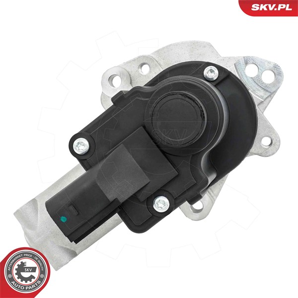 Egr-ventil 12V Esen skv 14SKV325 ESEN SKV