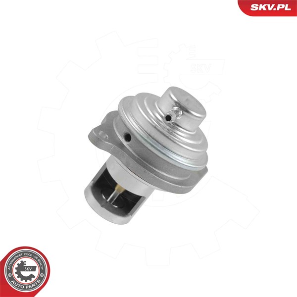 Egr-ventil Esen skv 14SKV326 ESEN SKV