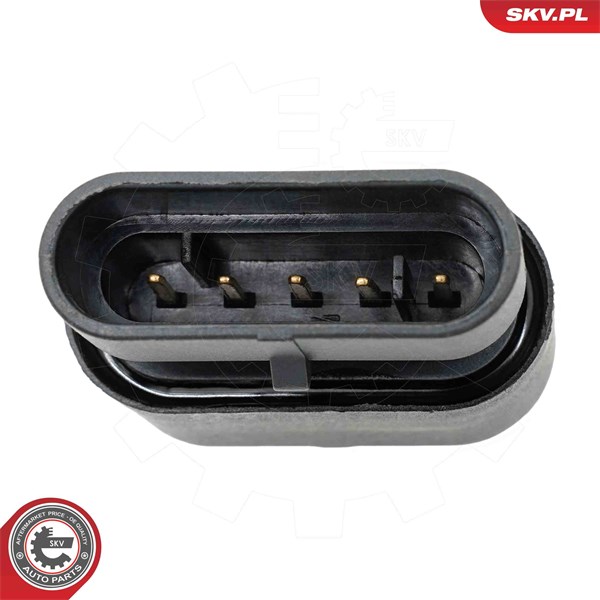Vattensensor, bränslesystemet Esen skv 17SKV996 ESEN SKV Vattensensor, bränslesystemet Esen skv 17SKV996 ESEN SKV