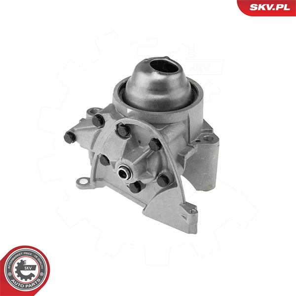 Oljepump Esen skv 77SKV050 ESEN SKV