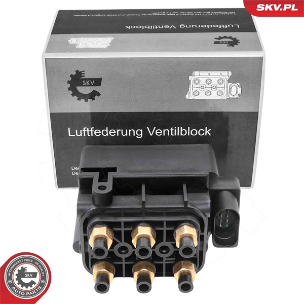 Ventil, kompressorsystem Esen skv 93SKV817 ESEN SKV