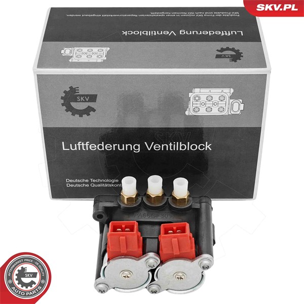 Ventil, kompressorsystem Esen skv 93SKV818 ESEN SKV