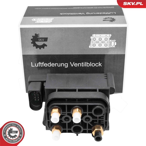 Ventil, kompressorsystem Esen skv 93SKV819 ESEN SKV