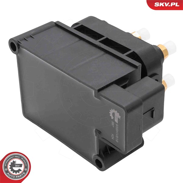 Ventil, kompressorsystem Esen skv 93SKV819 ESEN SKV Ventil, kompressorsystem Esen skv 93SKV819 ESEN SKV