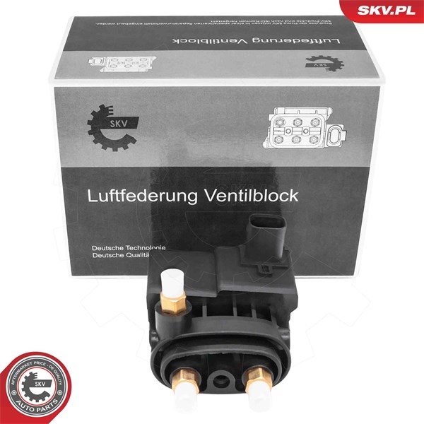 Ventil, kompressorsystem Esen skv 93SKV820 ESEN SKV