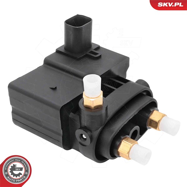 Ventil, kompressorsystem Esen skv 93SKV820 ESEN SKV
