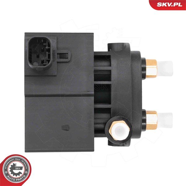Ventil, kompressorsystem Esen skv 93SKV820 ESEN SKV