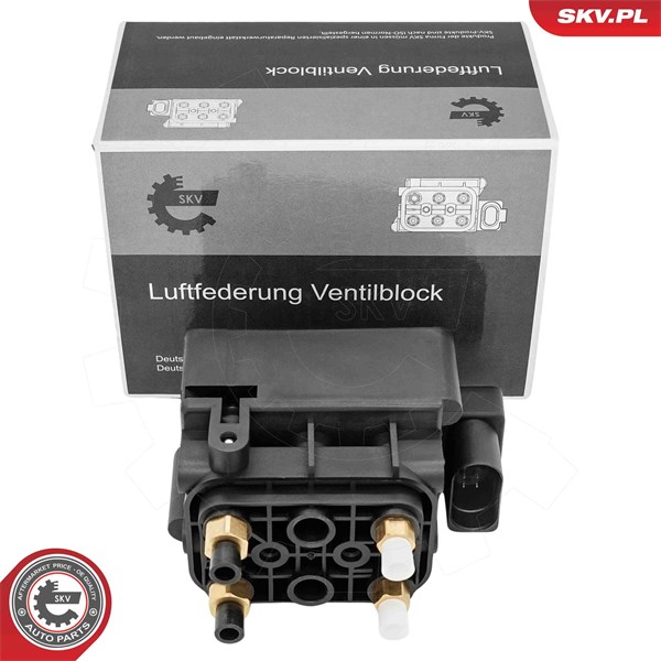 Ventil, kompressorsystem Esen skv 93SKV821 ESEN SKV