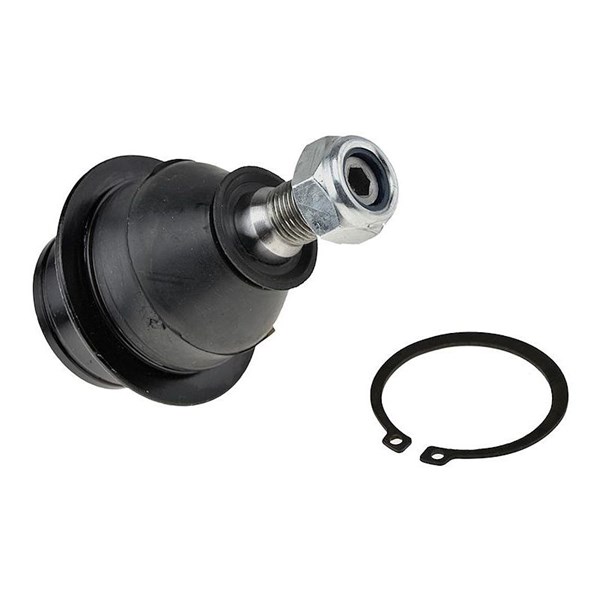 Kulled / Spindelled, Nedre framaxel Nty ZSD-FR-006 NTY