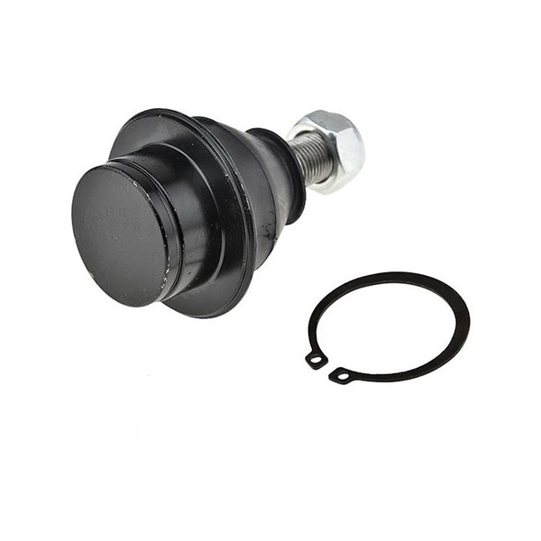 Kulled / Spindelled, Nedre framaxel Nty ZSD-FR-006 NTY Kulled / Spindelled, Nedre framaxel Nty ZSD-FR-006 NTY