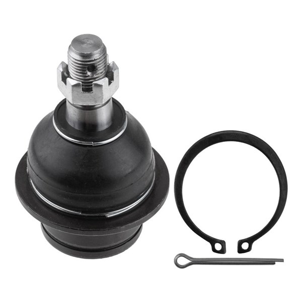 Kulled / Spindelled, Nedre framaxel Nty ZSD-FR-006 NTY