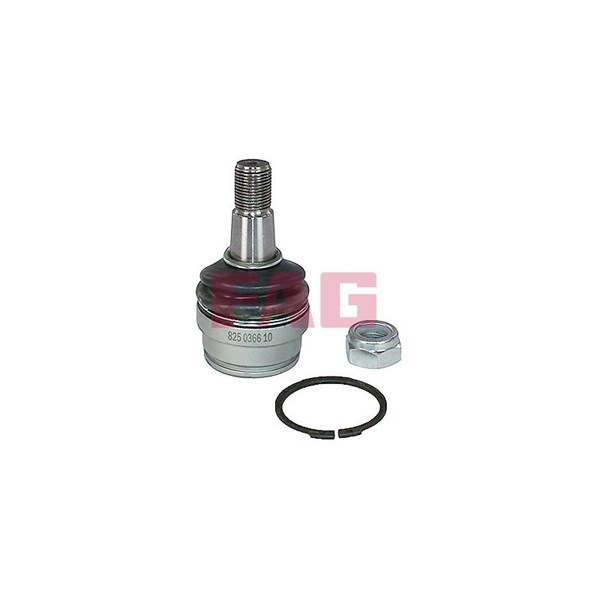 Kulled / Spindelled, Framaxel, Nedre Fag 825 0366 10 FAG